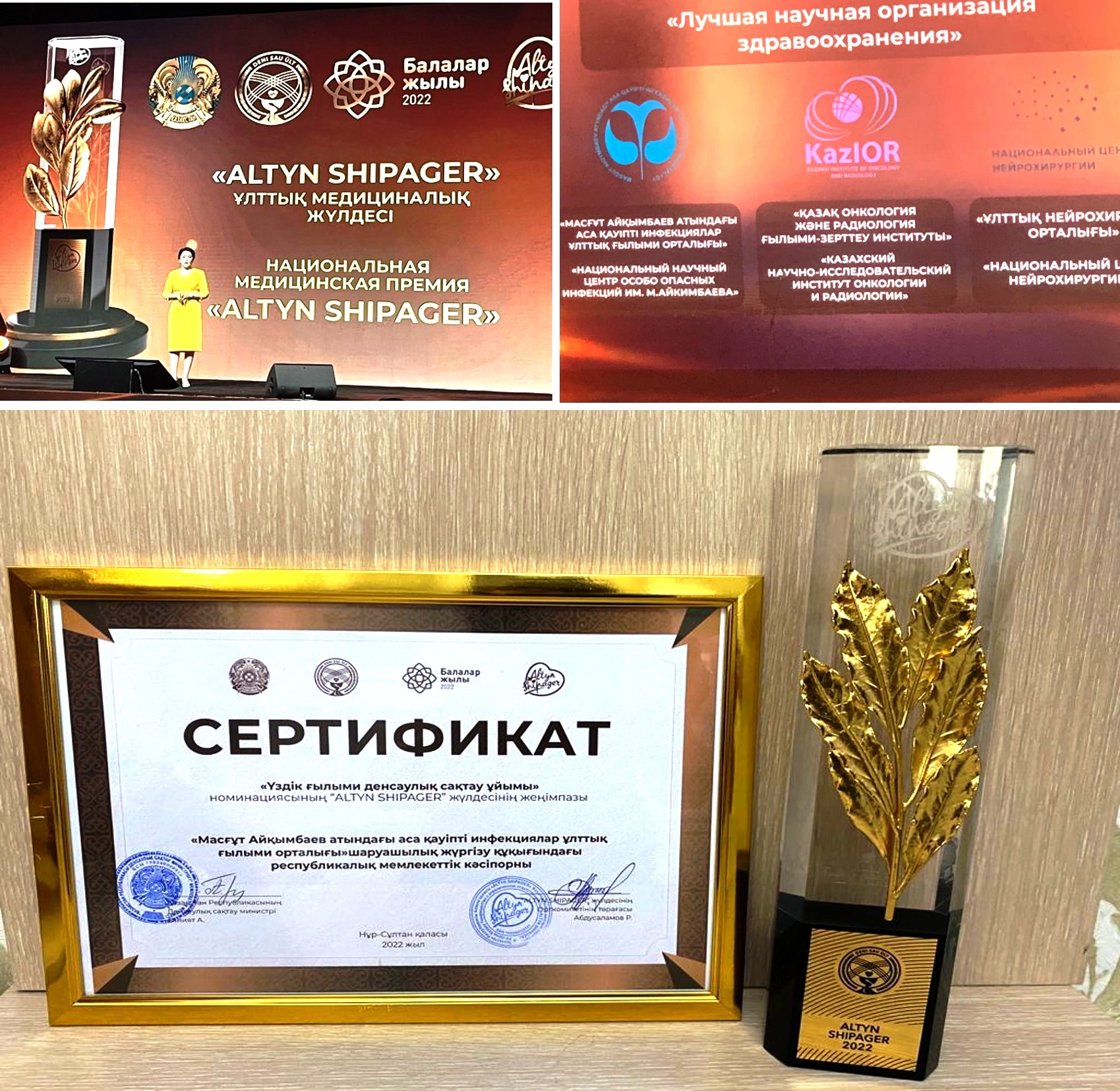 Награды и достижения